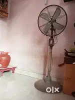 Cinni company stand fan each price 500