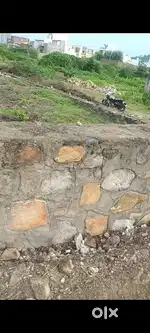 एग्रीकल्चर प्लाट सेल