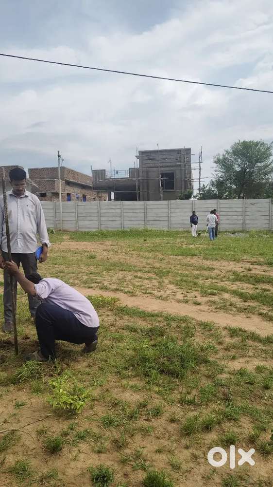 Open Plots for sale near by Shadnagar Rajapur investment plot s