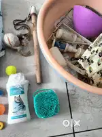 things I bought for my lost cat