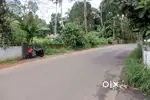 Land 1.90 acre main road side Kanjikuzhy-Thiruvanchoor 2 lakh/cent