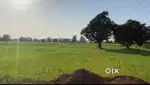 1 acre agricultural land for sale demand 30 lakh  nego.