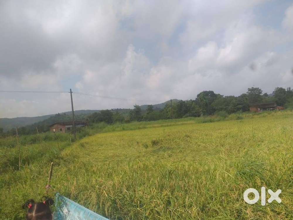 1 ghunta land for sale in boisar
