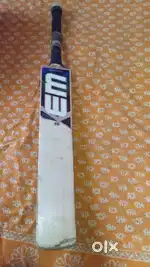 EM cricket bat (duse)