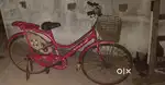 Lady cycle