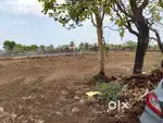 Vedpuram R zone plots