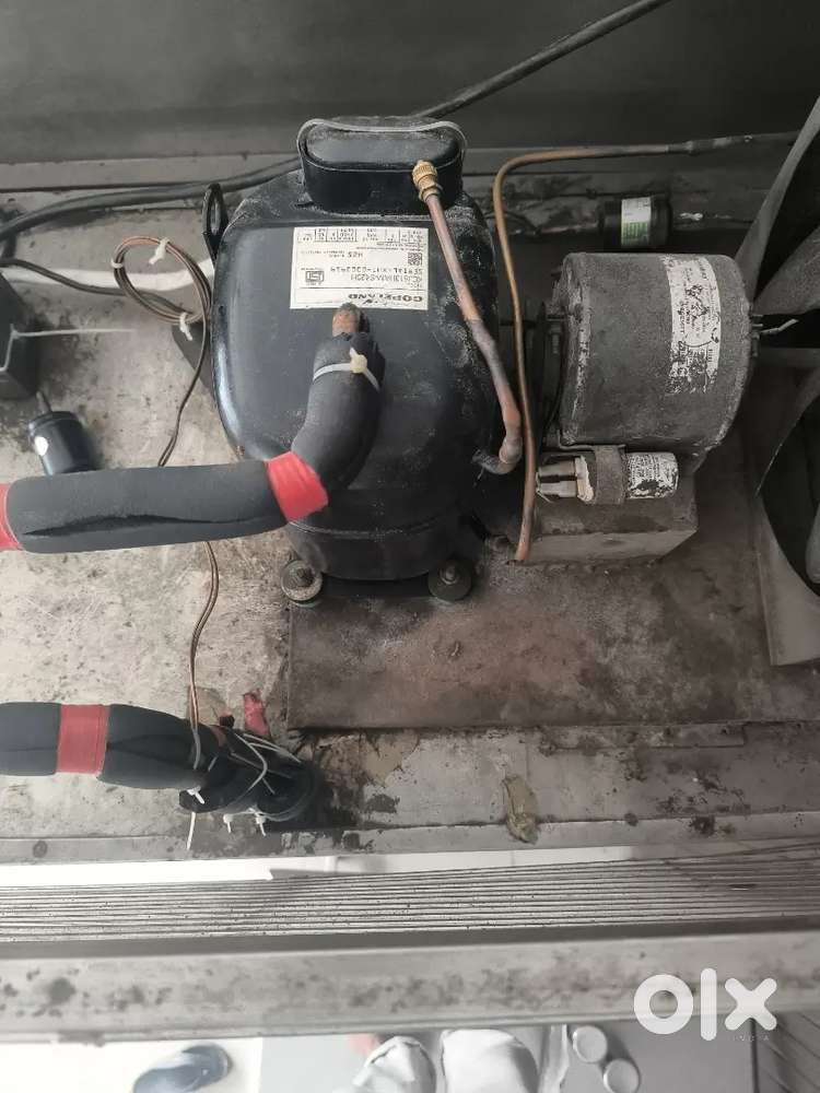 4 door steel stainless freeze cell