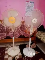 Stand fan one of usha and another of havells