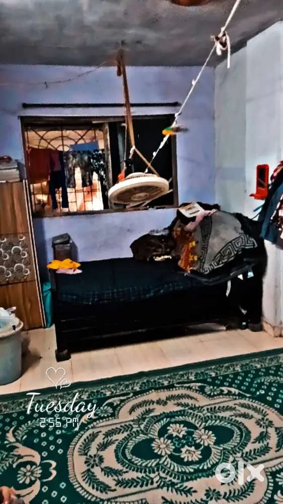 1bhk flat in lowest price