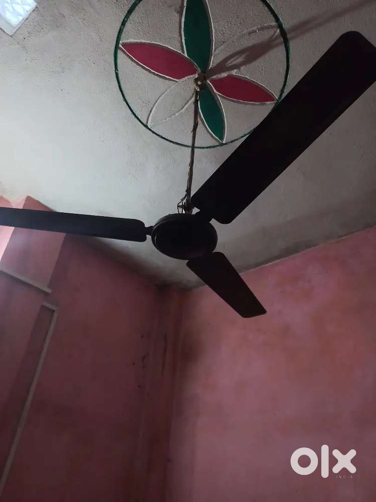 Ceiling fans