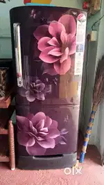 Samsung 190 liter Philips 32 inch TV