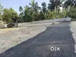 ചെട്ടികുളങ്ങരയിൽ വസ്തു വില്പനക്ക് 6സെന്റ് 7സെന്റ് 8സെന്റ്