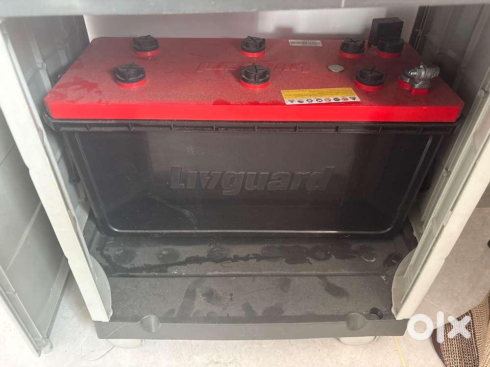 Inverter and Battery