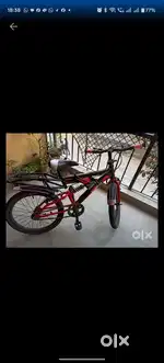 Hippo bicycle