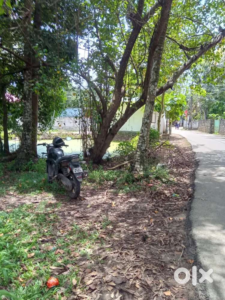 8.1/2cent land and small House near maruthadi vasupilla junction