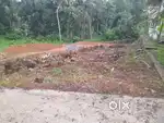 Property near Nedugadapally