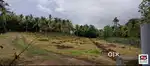 5 Acre farmland for sale in Anakkal, Palakkad