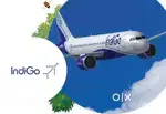 we are hiring for male female Both type Candidates required in Indigo
