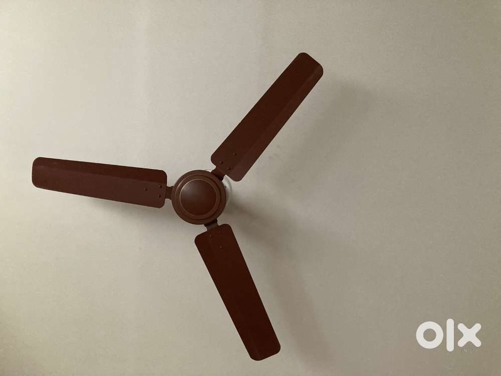 Oreva ceiling Fan