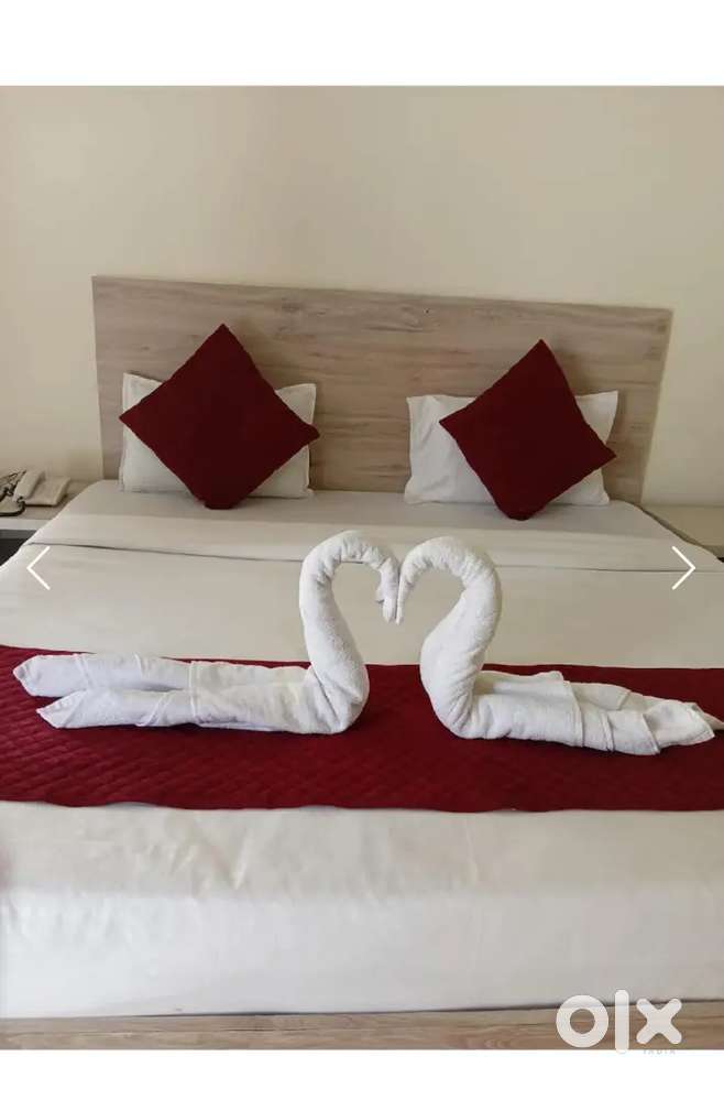 The  anandvan palace bhelupur pani tanki