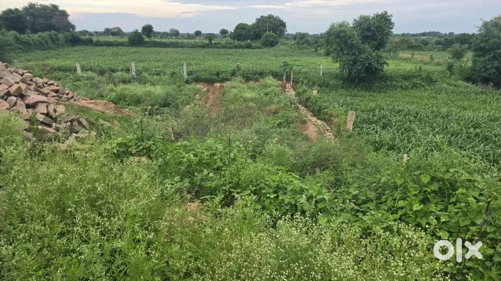 Highway plot...west facing