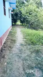 Plot sell for farming & home