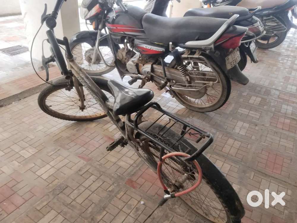 Hercules Good Congratulations