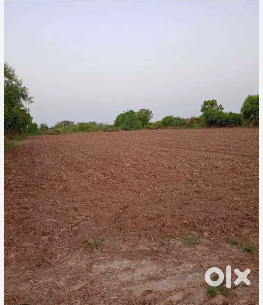 Location is mirzapur ahorara