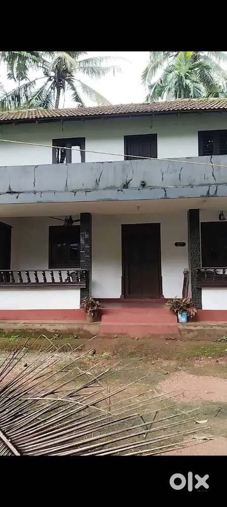 Normal house for rent near vatakara