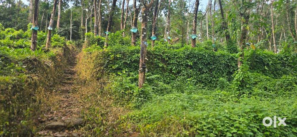 ₹₹30 Lakh/Acre (Negotiable) 4.80Acre Plot Area For Sale Kuthattukulam