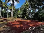 Prime 5 Cent Residential Plot for Sale – Pallikunnu, Kannur