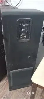 Zebronic tower speaker