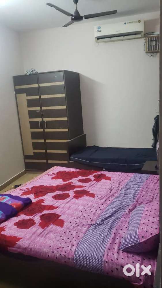 Pg for girls only( 3 seater available)