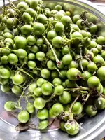 Gunda / lesunda available for sale / lease