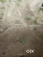 5സെന്റ് സ്ഥലം വില്പനക്ക്