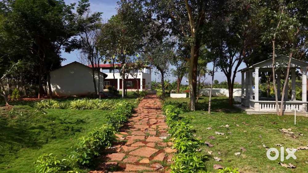 Aroma Sandalo Managed Farmlands – Premium Investment