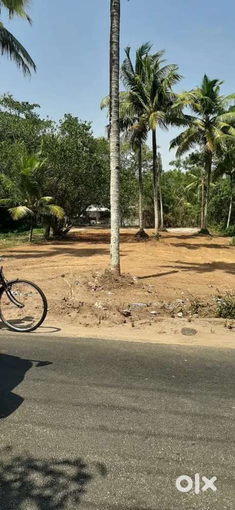 ചേർത്തല ടൗണിൽ 27 cet land