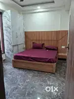 Luscious PG ON ROAD available in sector 40,44,47,47,38,39