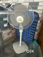 Orient  fan