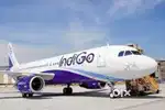 Indigo Airlines 2024 Ground Staff permanent Recruitment
