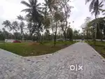 4&5, 10 More Cent. Koonammavu Kongorpilly House Plots