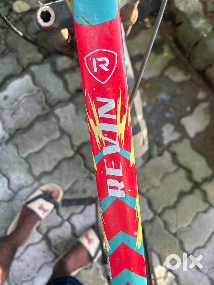 Revin cycle