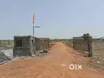 Investment plot