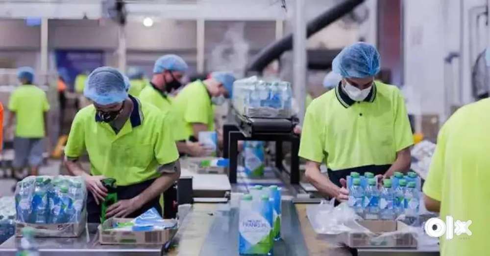 OPENING FOR - PACKING AND HELPER JOB