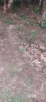 Vattiyoorkavu Nettayam mukkola main road 100mtr 6cent plot for sale