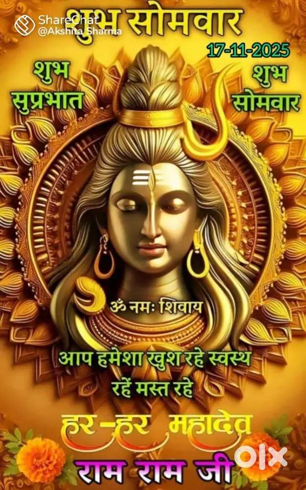 Plot with temporary 2 room shed and boundary wall