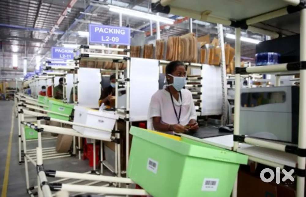 NEEDED FRESHER & EXPERIENCED CANDIDATES FOR WAREHOUSE COMPANY