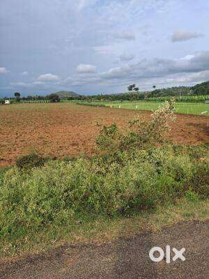 10 acer good location