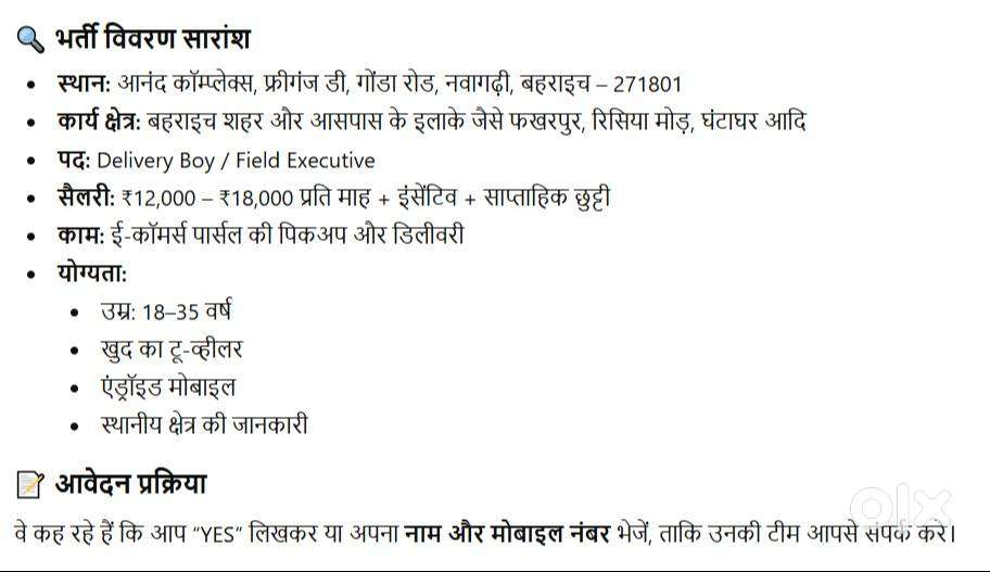 delivery boy in delhivery bahraich