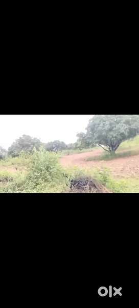 1 acre 20 gunta Mango Plantation  for sale near Kabbalu*